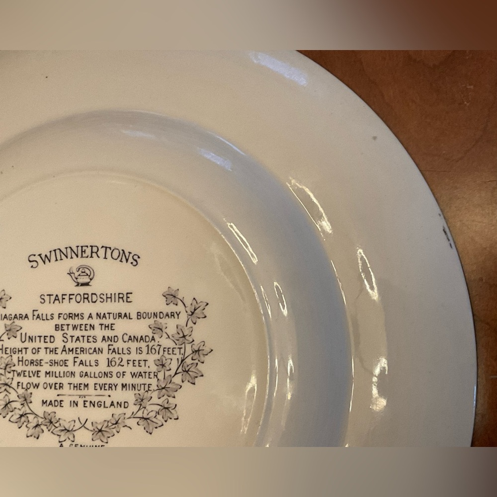 Staffordshire Niagara Falls Plate - Picture 13 of 14